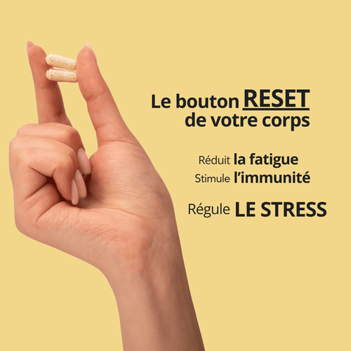 DAILY RESET